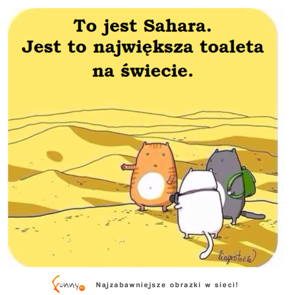 Sahara :D