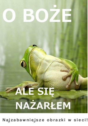 Ale się nażarłem