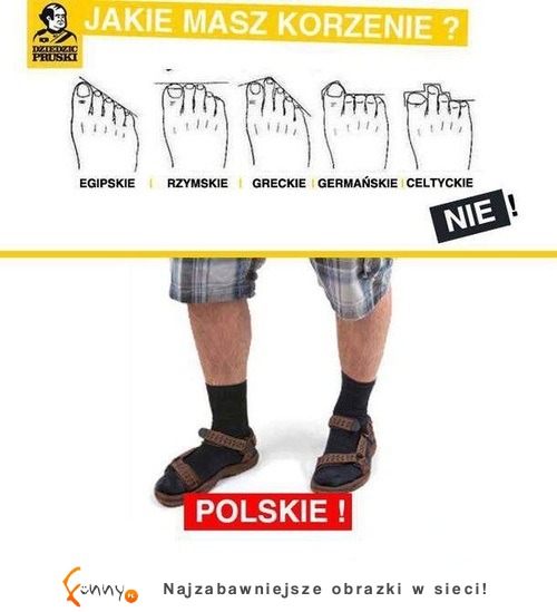 Nie wiesz jakie masz korzenie? ŁATWO to sprawdzić :D