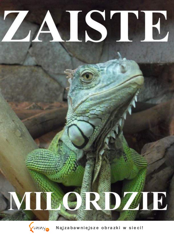 Zaiste oczywiste