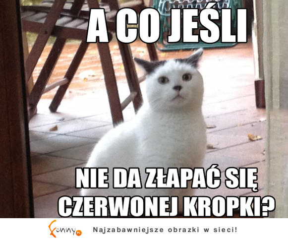 A co jeśli :D