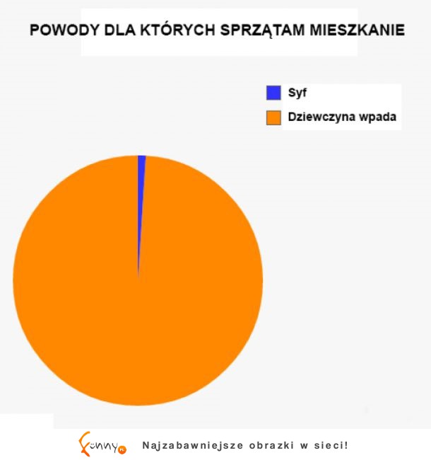 Sprzątam mieszkanie