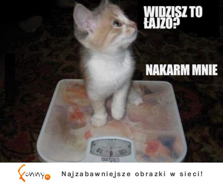 Widzisz to? :D