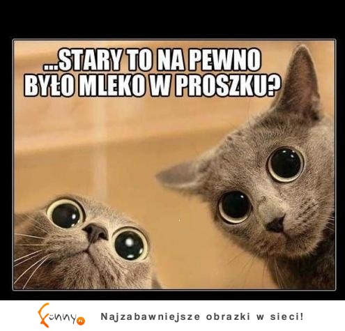 Stary to na pewno było mleko w proszku? :D