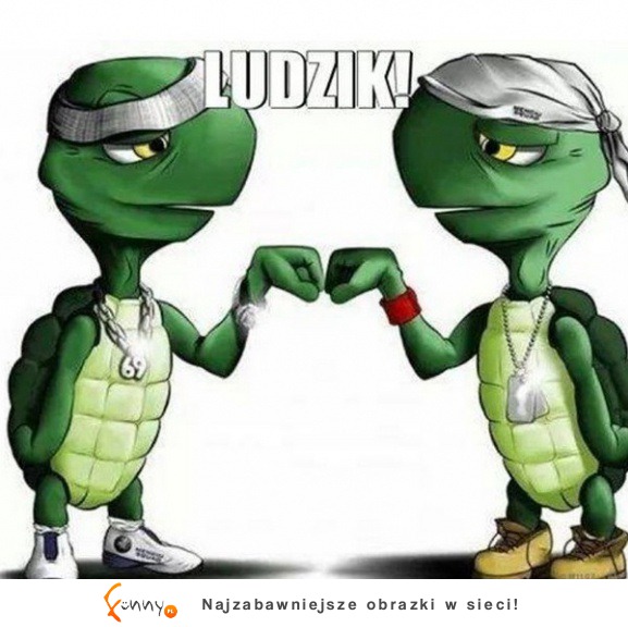 Ludzik