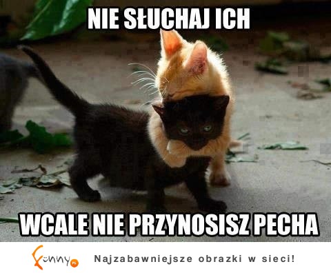 Nie słuchaj ich