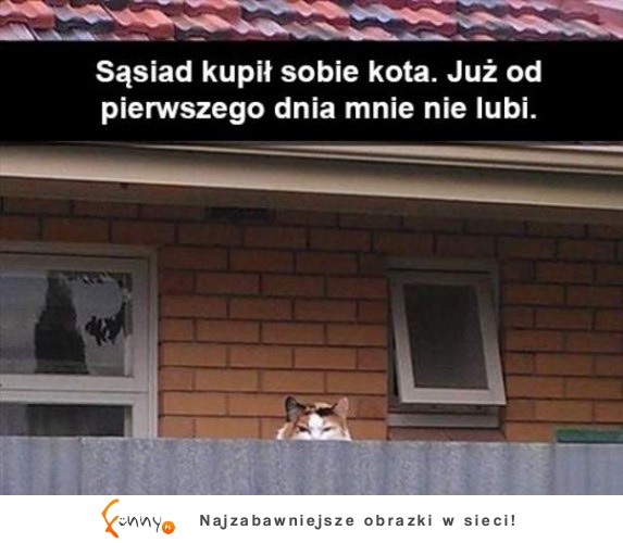 Sąsiad i jego kotek