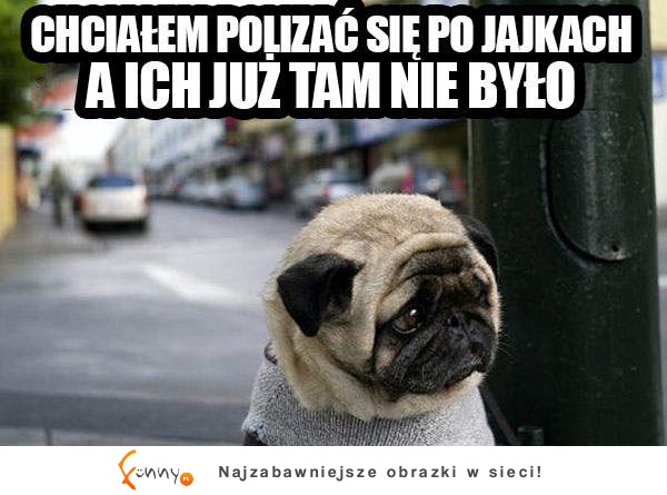 Już ich nie było :(