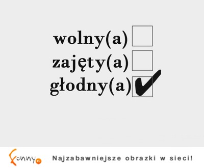 Wolny, zajęty czy...?