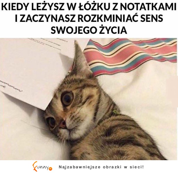 Sens życia