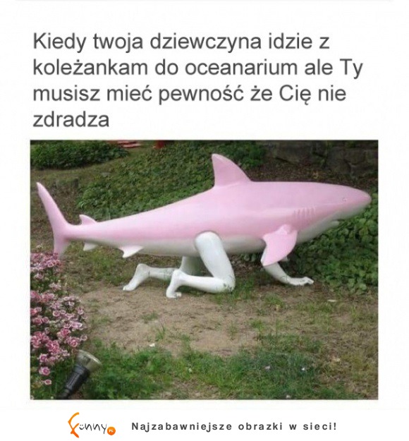 a ty musisz mieć pewność