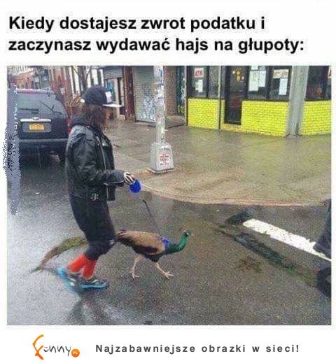 Hehe to za głupie nawet dla mnie XD A ja kocham wydawać kasę na pierdoły! Kto jeszcze?