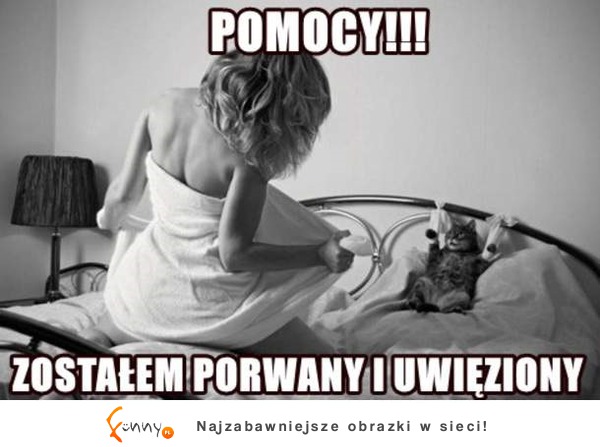 Pomocy!!