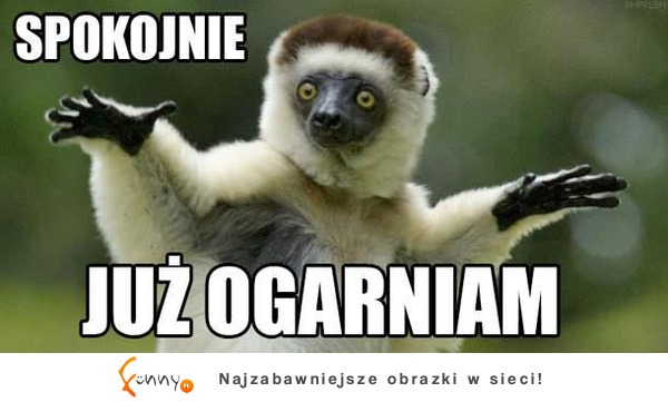 Spokojnie :D