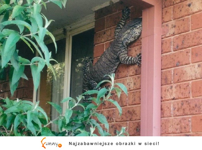 Australia – to nie inny kraj, a inny świat! Australia – to nie inny kraj, a inny świat!