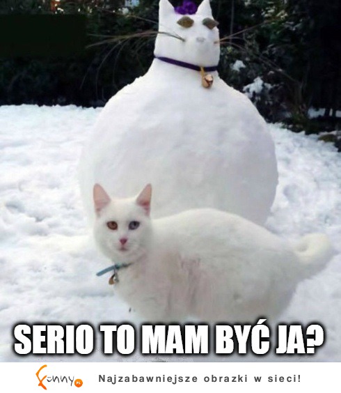 To mam być ja