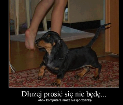 Nie będę prosić!