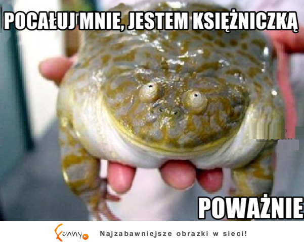 Jestem królewną