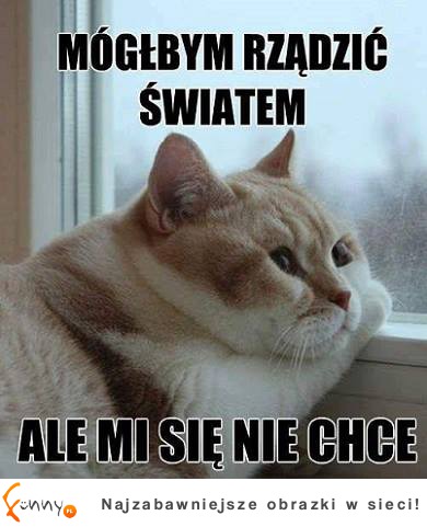 Mógłbym rządzić światem