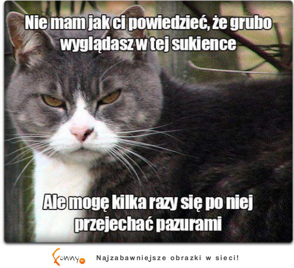 Nie mam jak ci powiedzieć :D