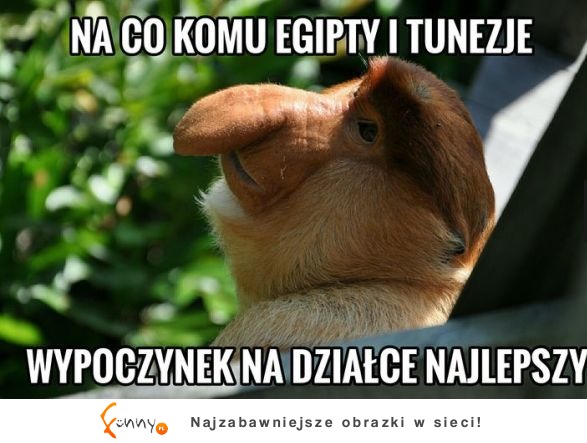 Na co komu taka egzotyka jak wiadomo, że najlepiej XD