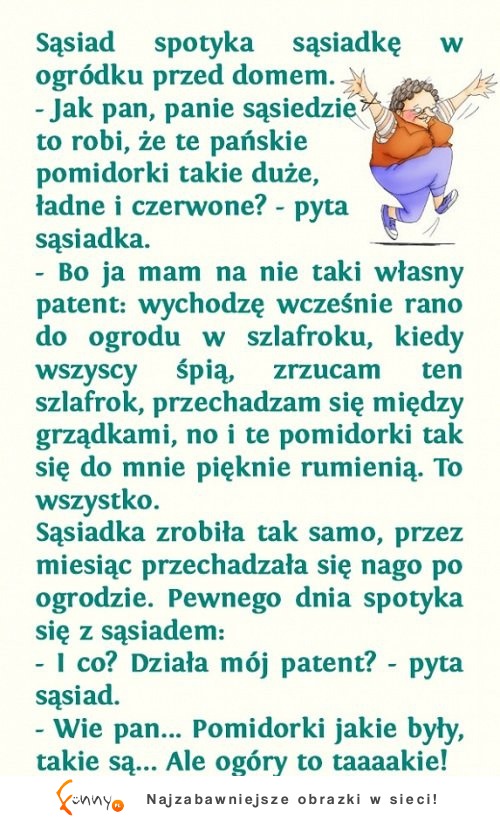 Sąsiad poradził co trzeba robić, aby pomidory dojrzały! ZOBACZ czy jej się udalo!