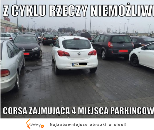 Mistrz parkowania