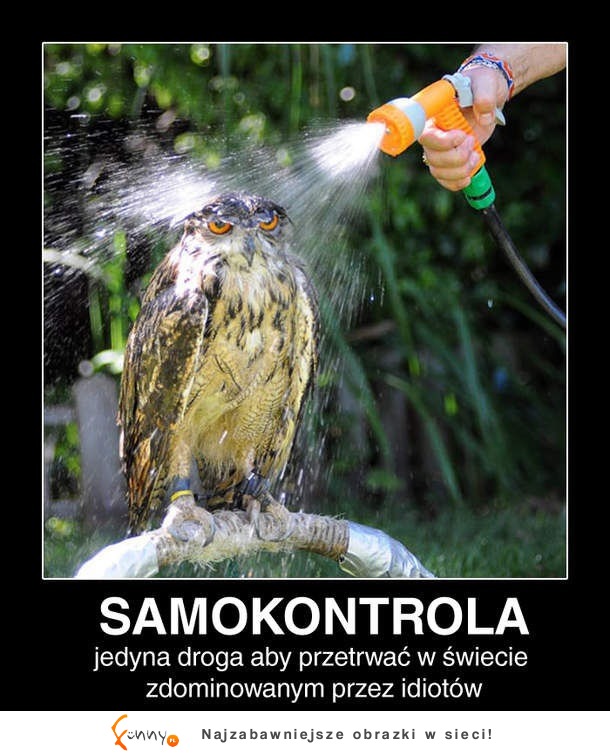 Samokontrola