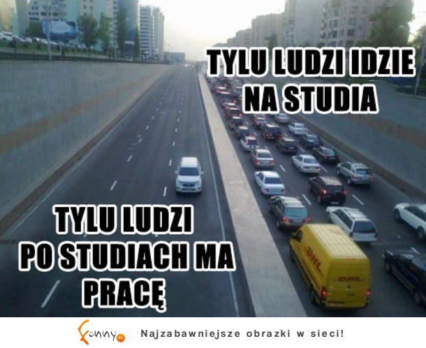 Praca po studiach