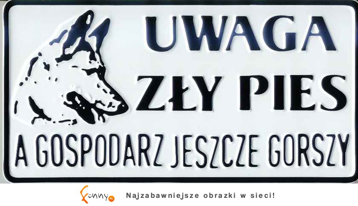 Zły pies