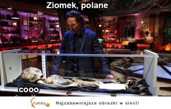 Ziomek, polane