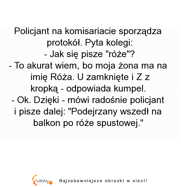 Klasyka gatunku o policjantach, ale takiego głąba to jeszcze w kawale nie było XD