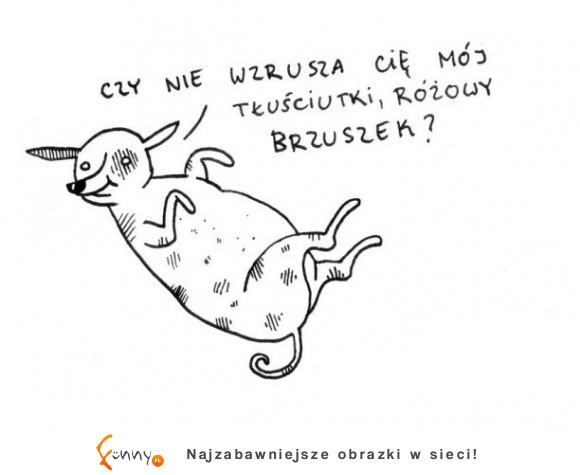 Nie wzrusza