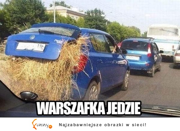 Warszawiak