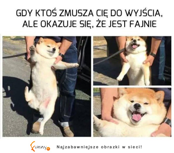 Jednak się podoba