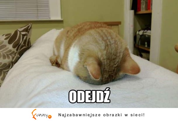 Nie chcę!