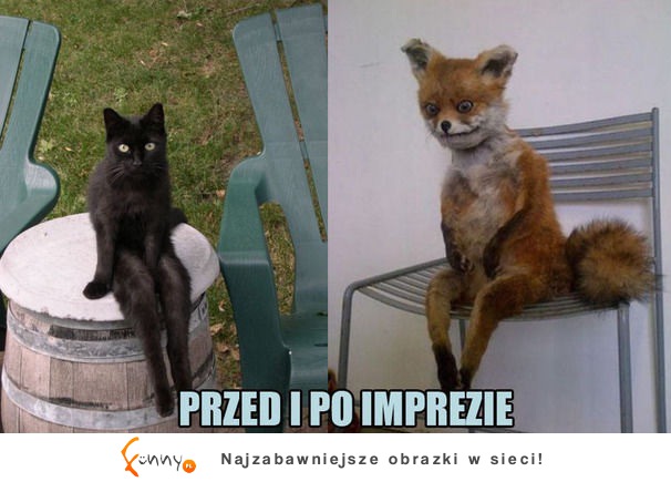 Imprezy takie są