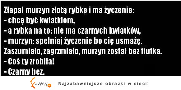 Złota rybka :D