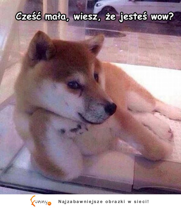 Jesteś wow!