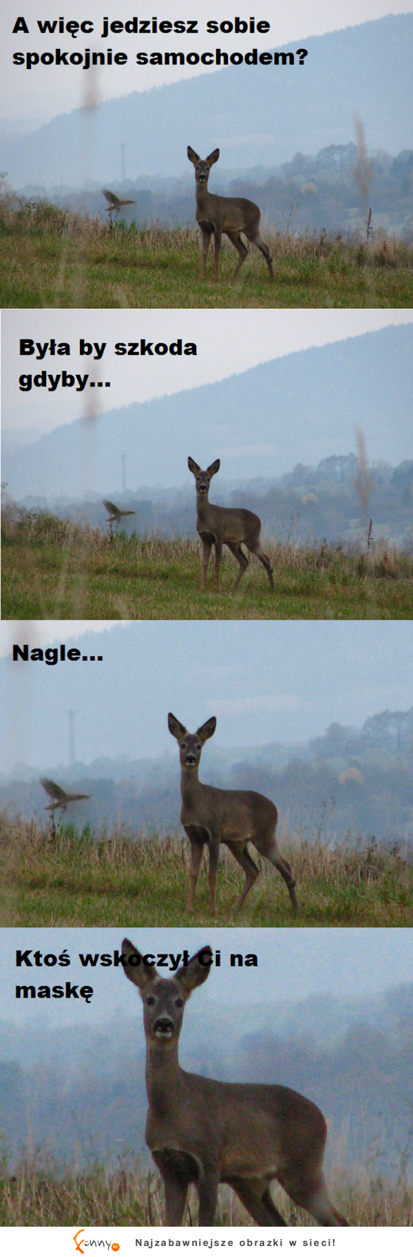 Byłoby smutno...