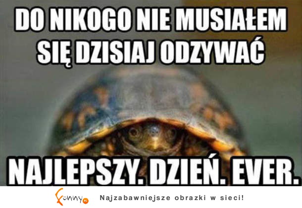 Świetny dzień