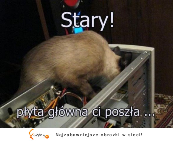 Płyta główna