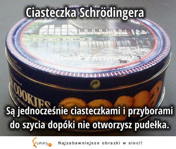 Ciasteczka Schroedingera