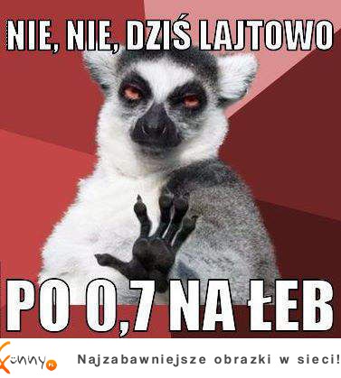 Dzisiaj lajtowo