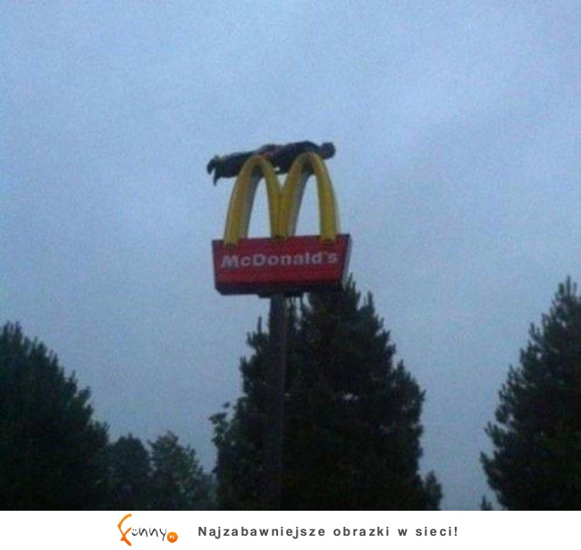 Zestawienie totalnie absurdalnych, ale zabawnych zdjęć Zestawienie totalnie absurdalnych, ale zabawnych zdjęć