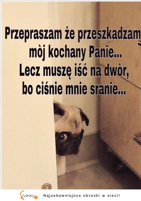 trochę ciśnie