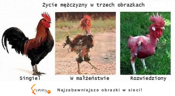 Mężczyzna przed, w trakcie i po małżeństwie :D