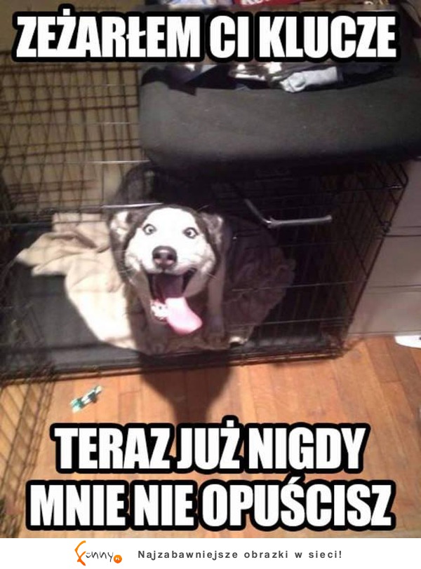 Zeżarłem ci klucze