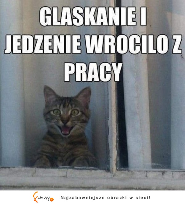 Wróciło!