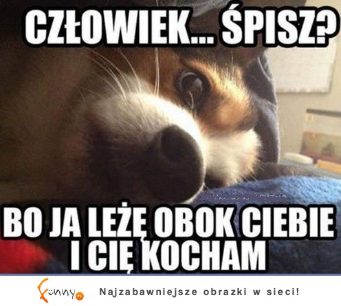 śpisz?